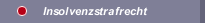 Insolvenzstrafrecht